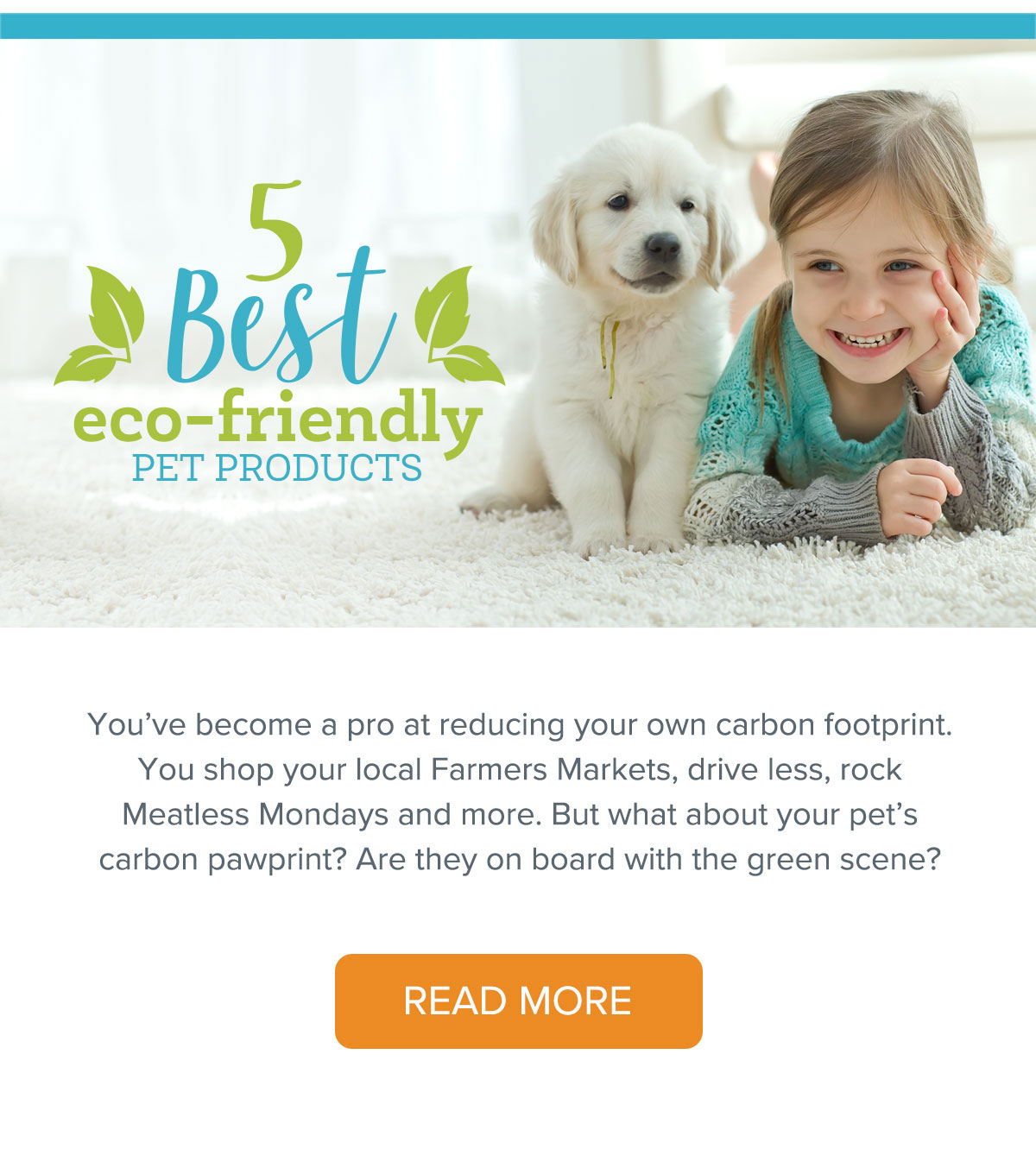 Eco-friendly pet products graphic header design